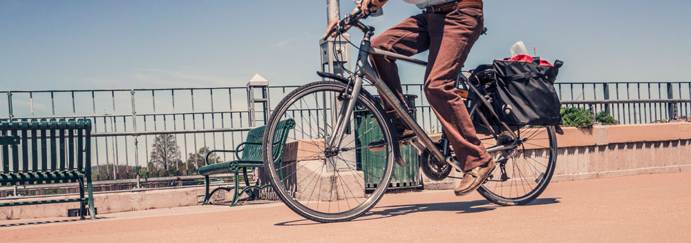 Person riding a bike along a boulevard.