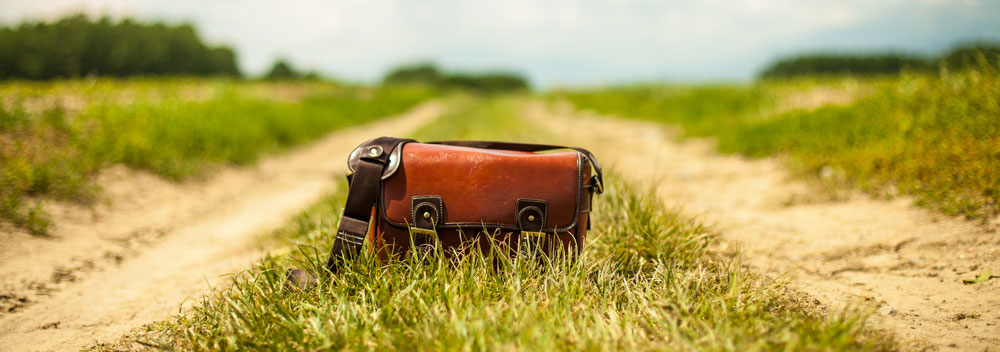 Satchel sitting in the middle of a dirt road surrounded by grass